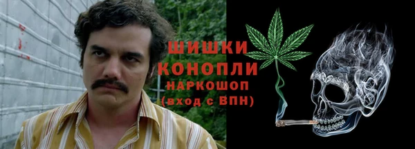 дмт Арсеньев
