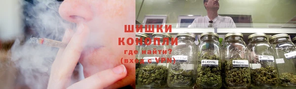 дмт Арсеньев