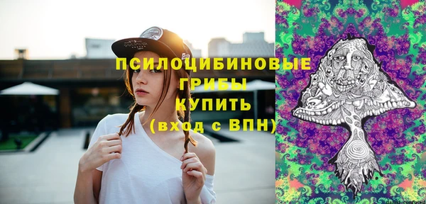 дмт Арсеньев