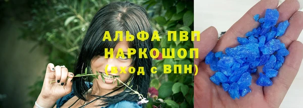 PSILOCYBIN Семёнов